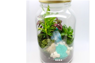 Plant Nite: Tropical Foliage Terrarium in a Jar